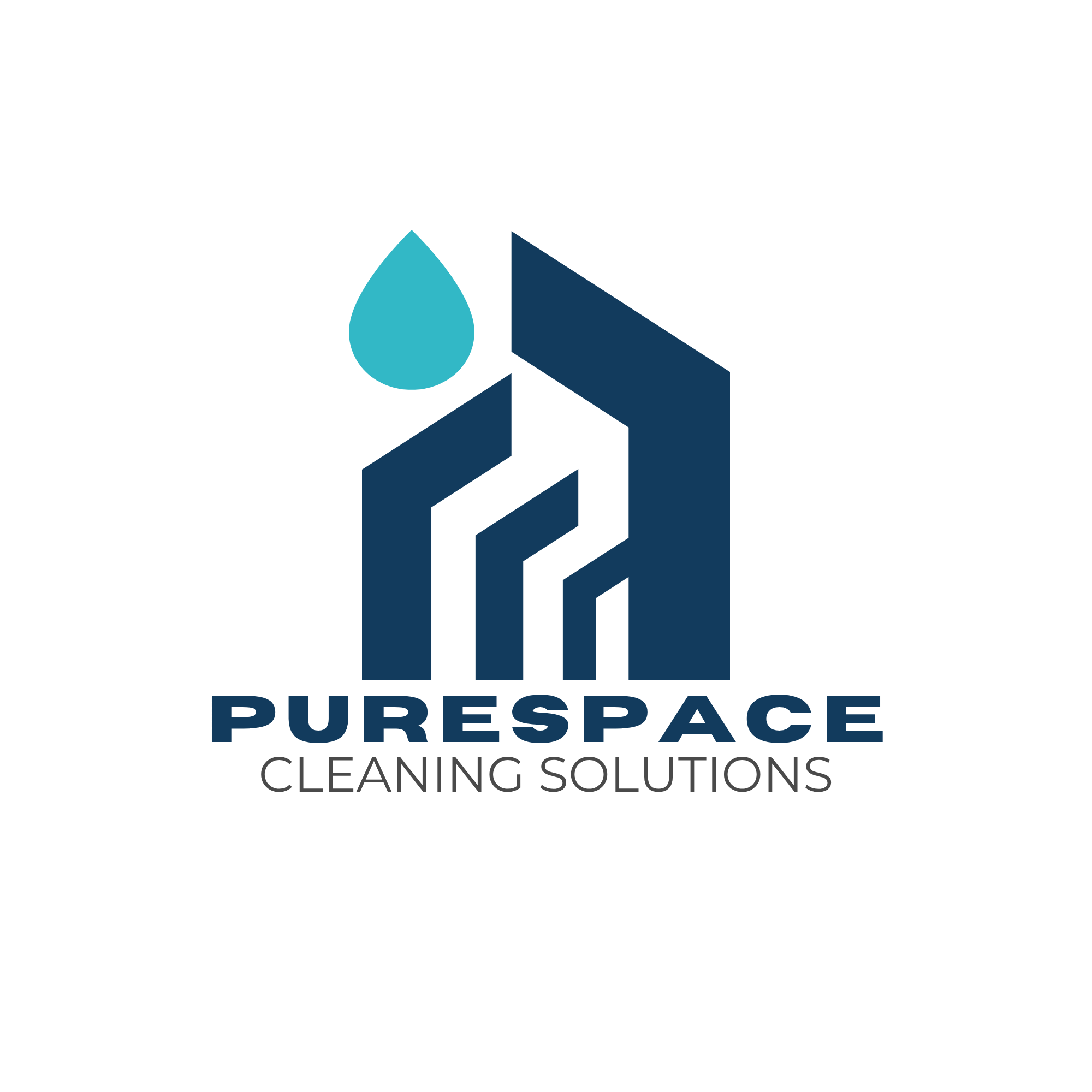 PureSpace Cleaning Solutions
